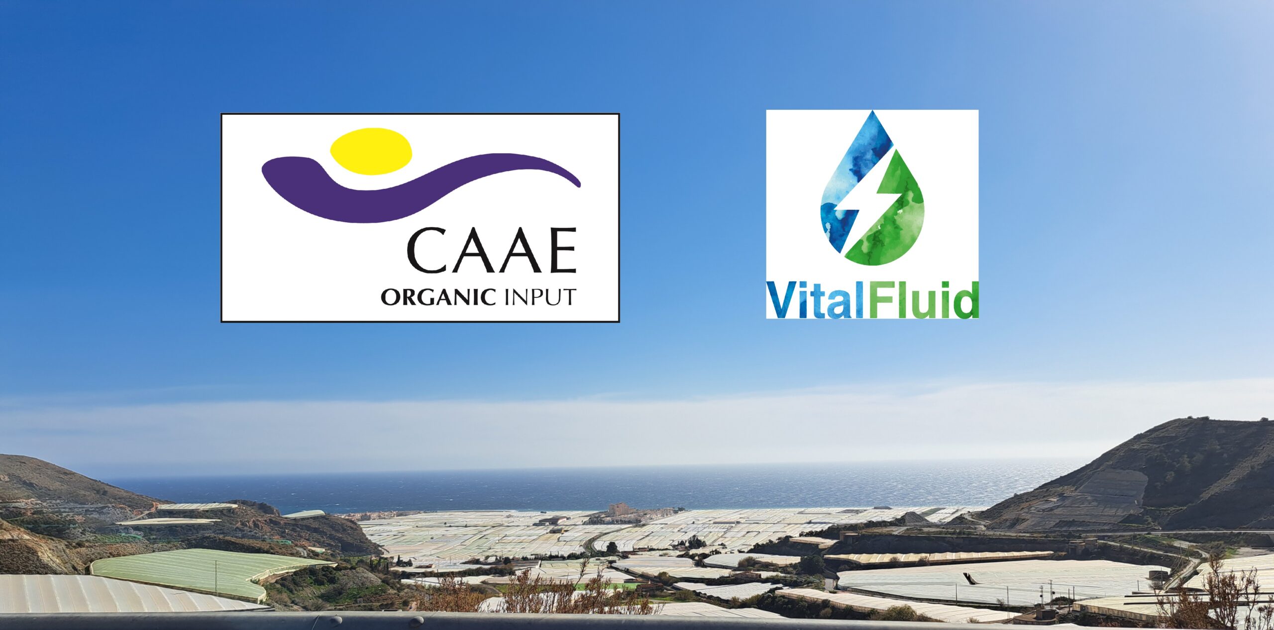 Certificado ecológico VitalFluid CAAE